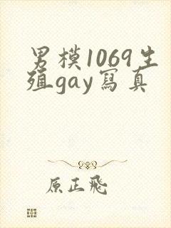男模1069生殖gay写真