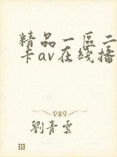 精品一区二区不卡av在线播放