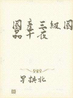 国产三级国产精品午夜