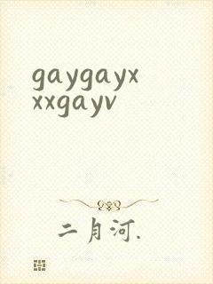 gaygayxxxgayv
