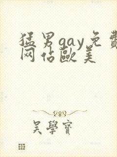 猛男gay免费网站欧美
