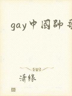 gay中国帅哥