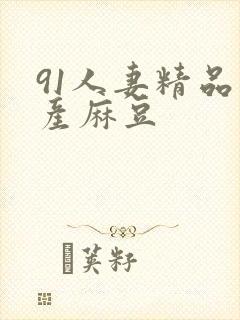 91人妻精品国产麻豆