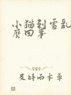 小猫到处乱尿怎么回事