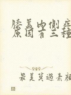 膝盖内侧疼痛的原因有三种