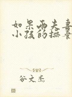 如果两夫妻离婚小孩的抚养权最终归谁