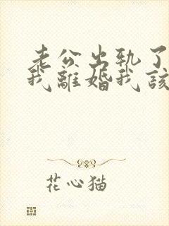 老公出轨了要跟我离婚我该怎么办封面