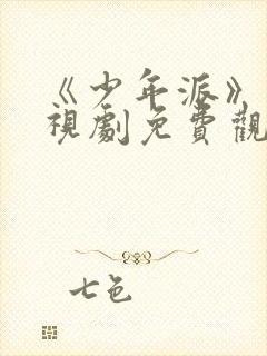 《少年派》1电视剧免费观看全集