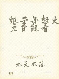 甄子丹怒火重案免费观看