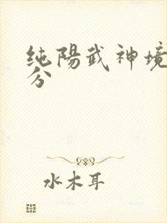 纯阳武神境界划分