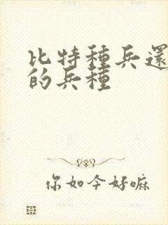 比特种兵还厉害的兵种