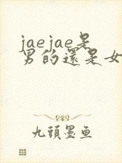 jaejae是男的还是女的