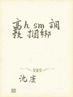 高h sm 调教 捆绑