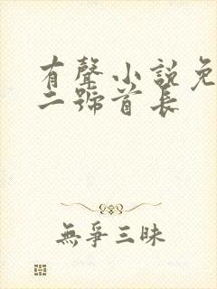 有声小说免费听二号首长