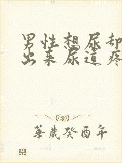 男性想尿却尿不出来尿道疼痛