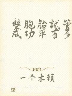 双胞胎试管婴儿成功率有多少