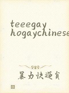 teeegayhogaychinesexxxxvideso