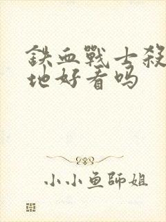 铁血战士杀戮之地好看吗封面