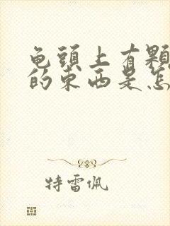 龟头上有颗粒状的东西是怎么回事