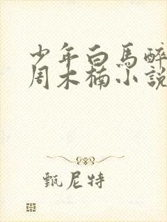 少年白马醉春风周木楠小说免费阅读 无弹窗