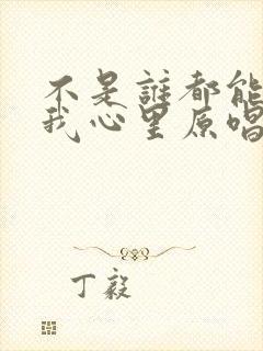 不是谁都能走进我心里原唱歌词封面