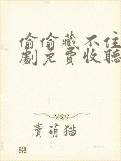 偷偷藏不住广播剧免费收听