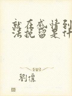 就在感情到了无法挽留是什么歌