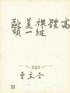 欧美裸体高清视频一级