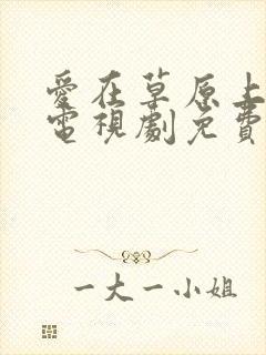 爱在草原上醒来电视剧免费观看