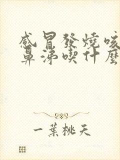 感冒发烧咳嗽流鼻涕吃什么药效果好