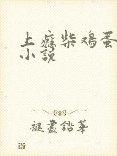 上瘾柴鸡蛋原著小说