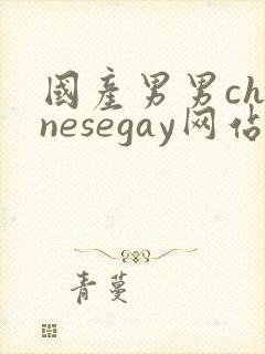 国产男男chinesegay网站