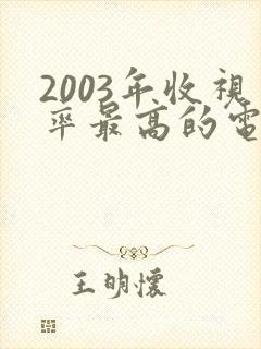 2003年收视率最高的电视剧封面