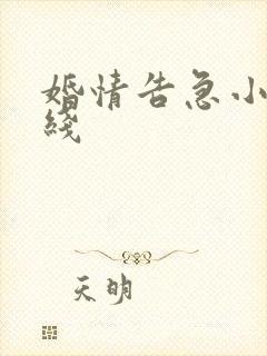 婚情告急小说在线