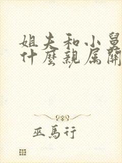 姐夫和小舅子是什么亲属关系