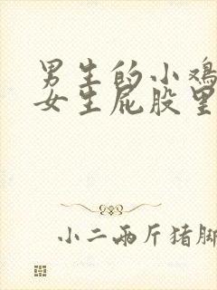 男生的小鸡插进女生屁股里视频封面