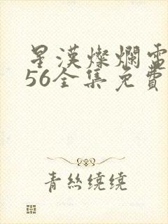 星汉灿烂电视剧56全集免费观看