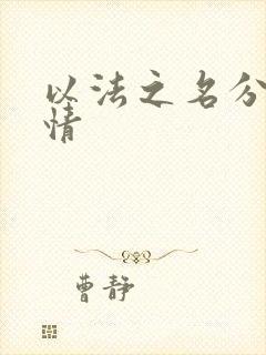 以法之名分集剧情