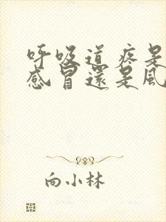 呼吸道疼是风热感冒还是风寒感冒