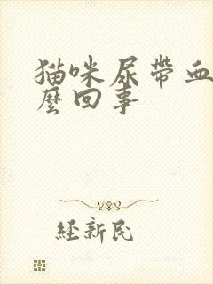 猫咪尿带血是怎么回事