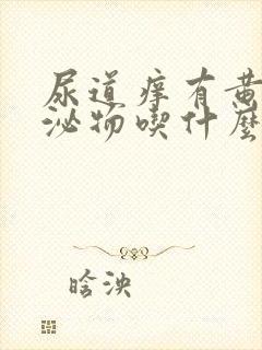 尿道痒有黄色分泌物吃什么药