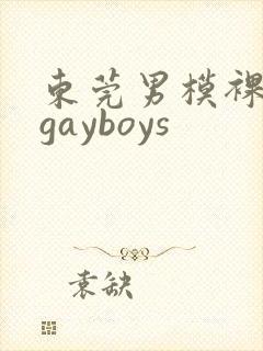 东莞男模裸体男gayboys