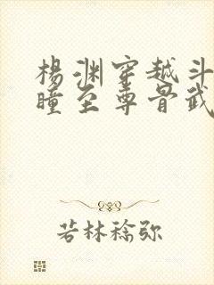 杨渊穿越斗罗重瞳至尊骨武魂