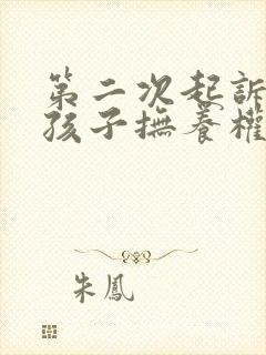 第二次起诉离婚孩子抚养权