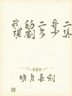 我的二哥二嫂电视剧多少集