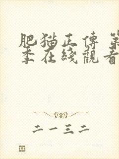 肥猫正传 第2季在线观看全集免费播放