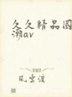 久久精品国产高潮av