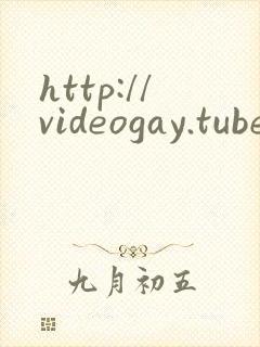 http://videogay.tube/
