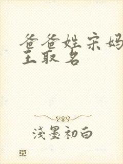 爸爸姓宋妈妈姓王取名