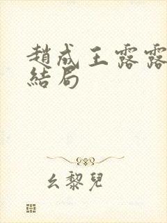 赵成王露露小说结局封面